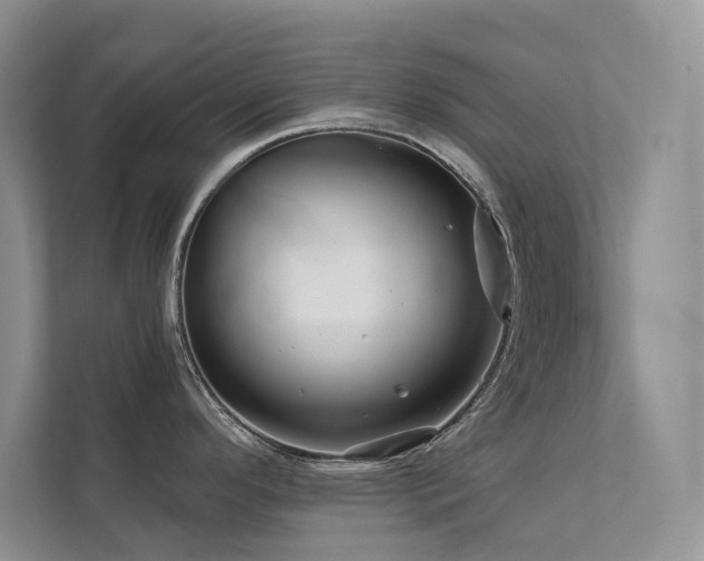 X0000111671296200907171606