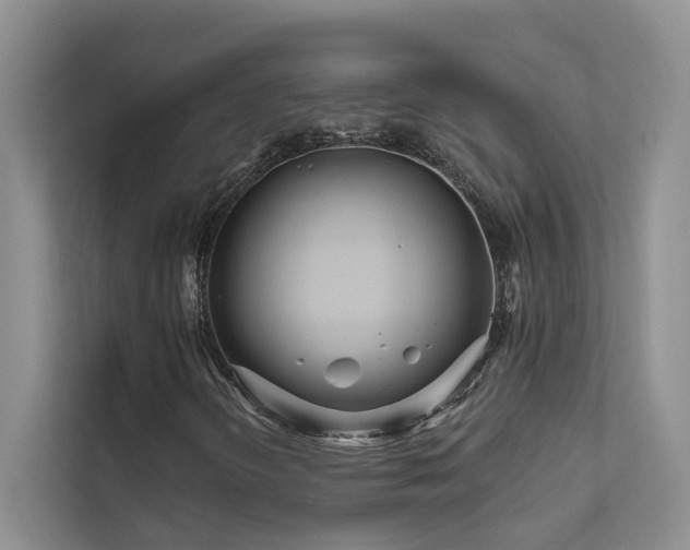 X0000111671298200907171605