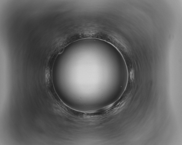 X0000111671299200907171605