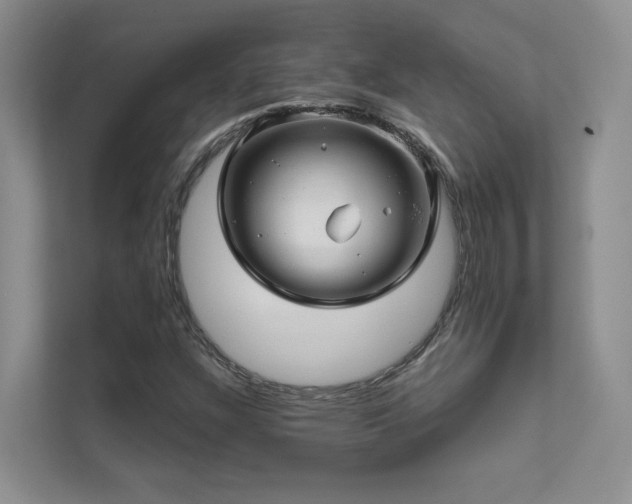 X0000111671304200907171605