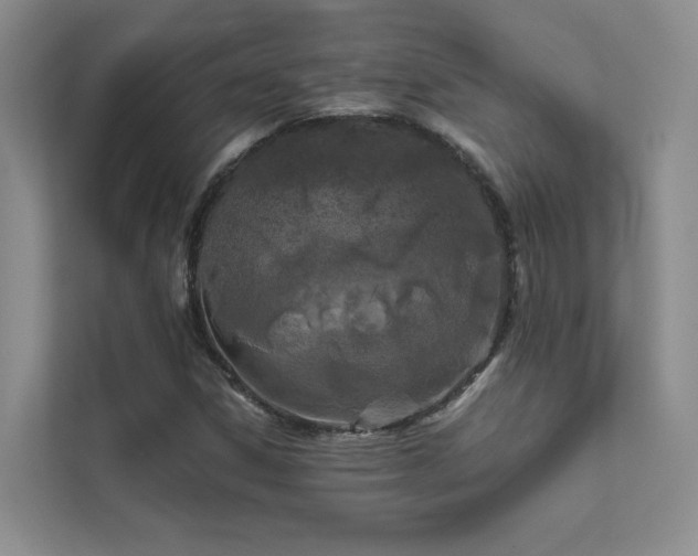 X0000111671306200907171605