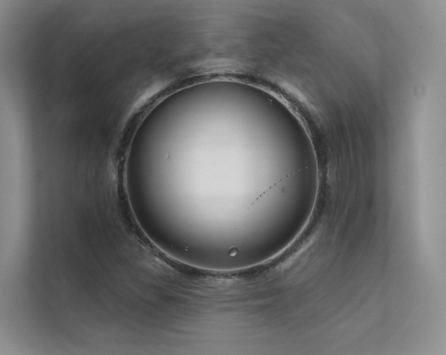 X0000111671309200907171605