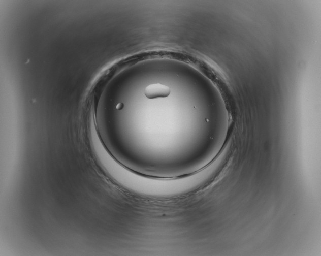 X0000111671310200907171605