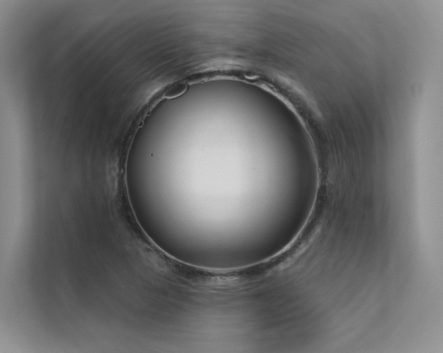X0000111671313200907171605