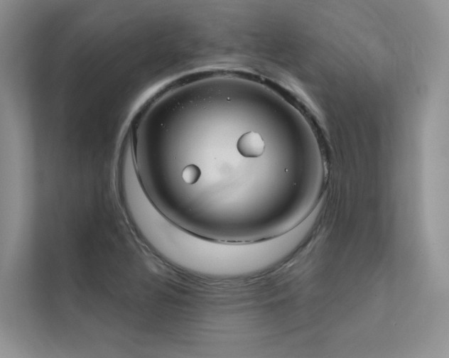 X0000111671320200907171606