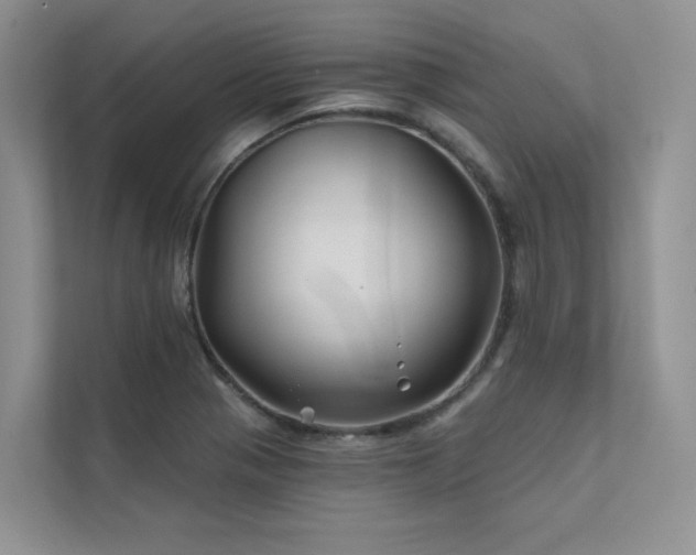 X0000111671321200907171606