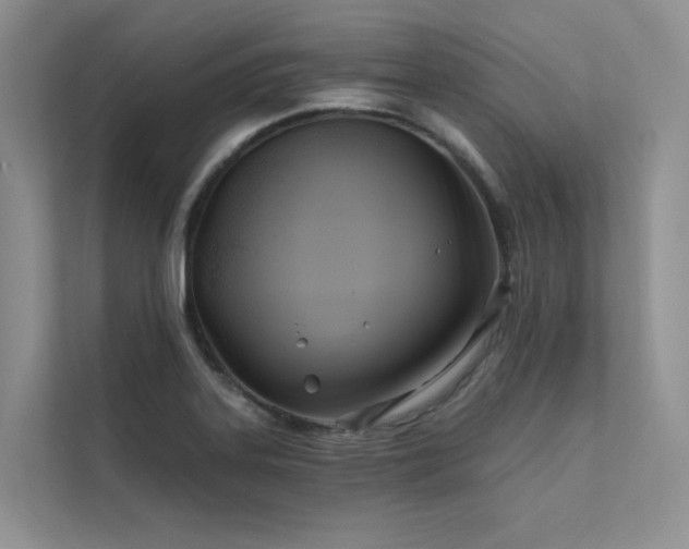 X0000111671323200907171606