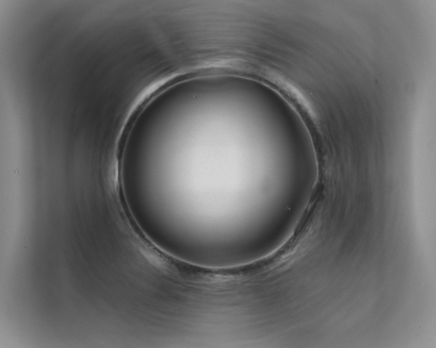 X0000111671324200907171606