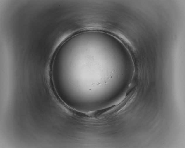 X0000111671325200907171606