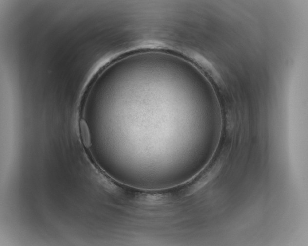 X0000111671326200907171606