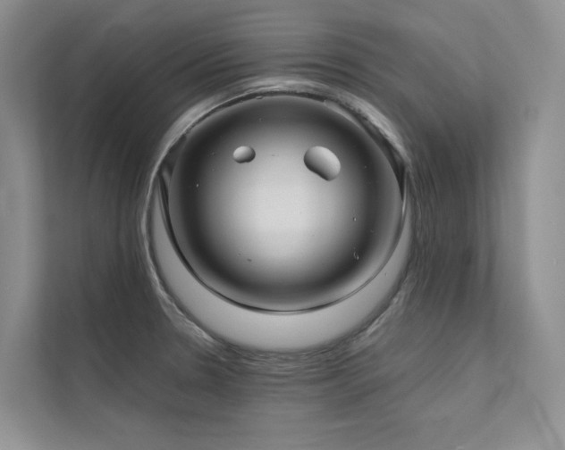 X0000111671330200907171606
