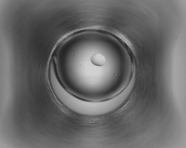 X0000111671332200907171606