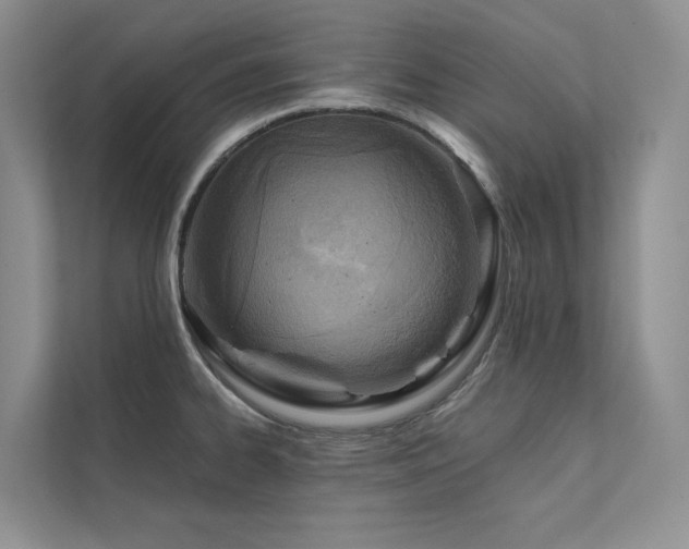 X0000111671334200907171606