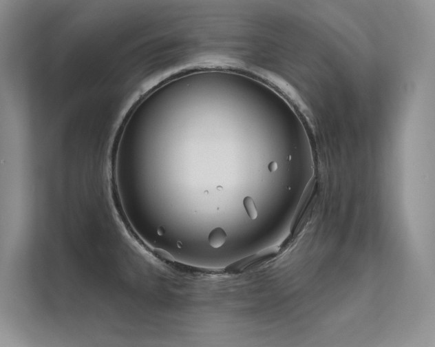 X0000111671335200907171606