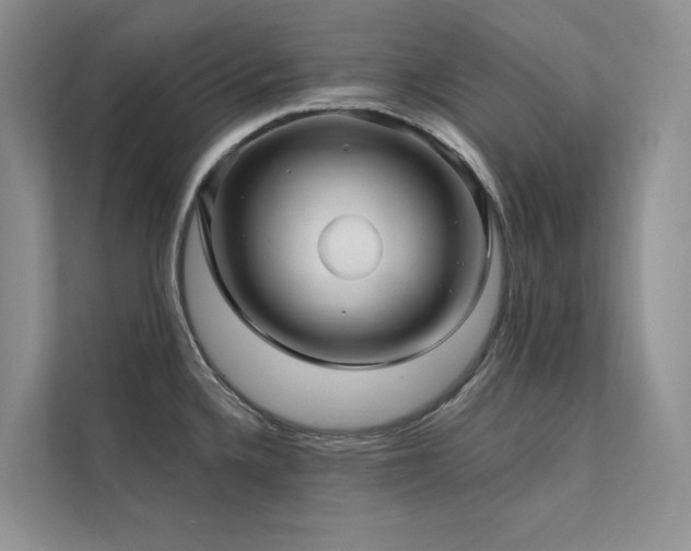X0000111671336200907171606