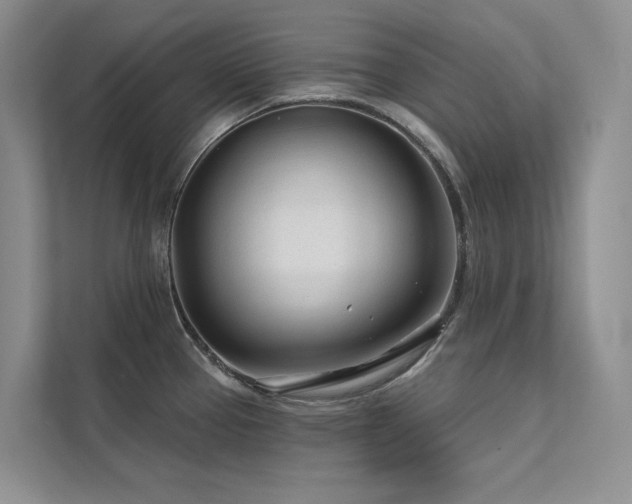 X0000111671337200907171606