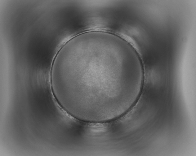 X0000111671338200907171606