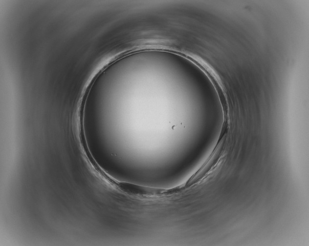 X0000111671341200907171606