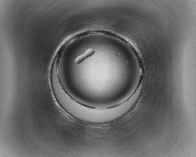 X0000111671342200907171606