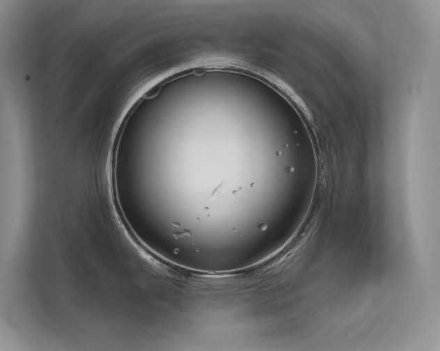 X0000111671343200907171606