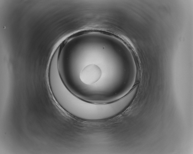 X0000111671344200907171606