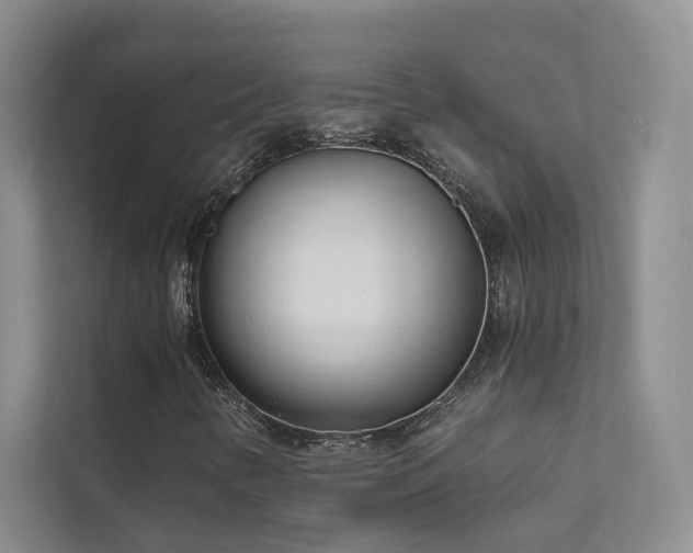 X0000111671346200907171605