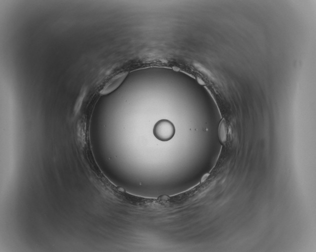 X0000111671348200907171605