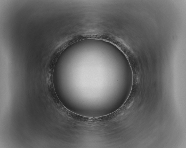 X0000111671350200907171605