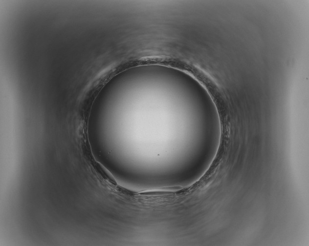 X0000111671351200907171605