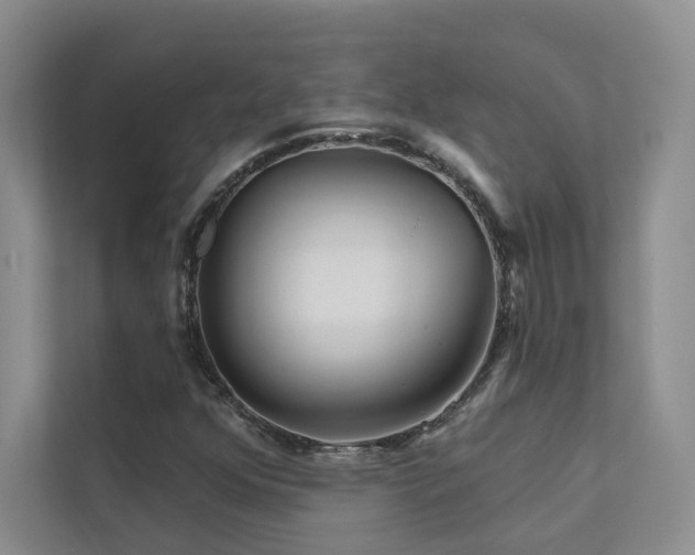 X0000111671352200907171605