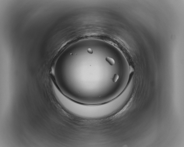X0000111671353200907171605