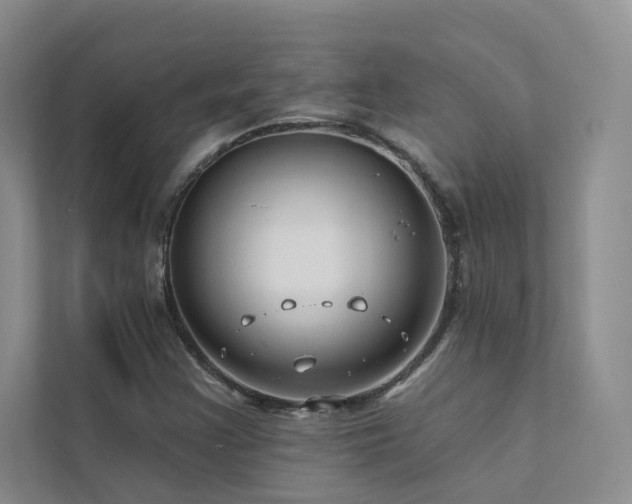 X0000111671355200907171605