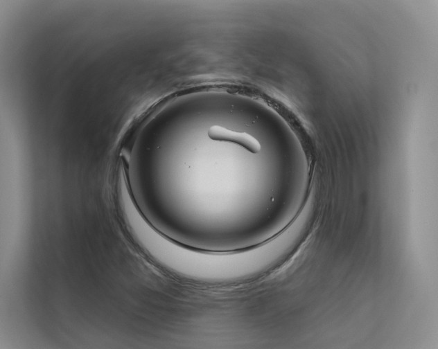 X0000111671357200907171605