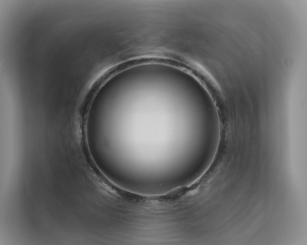 X0000111671360200907171605