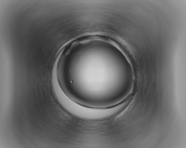 X0000111671361200907171605