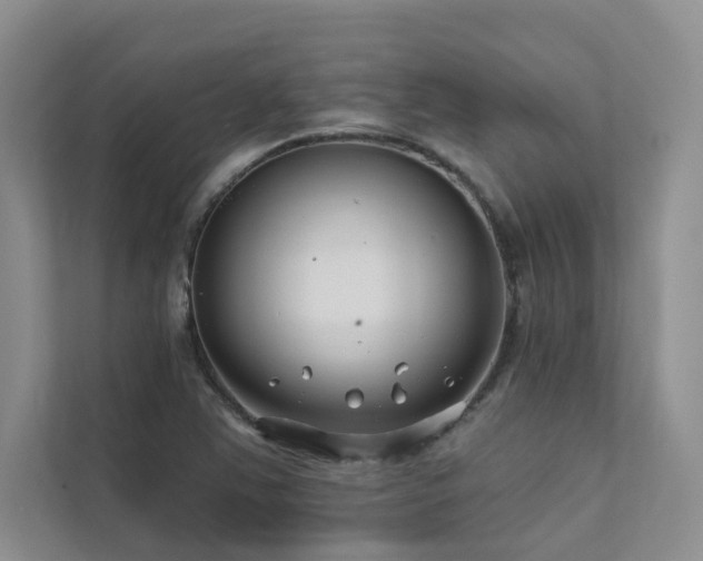 X0000111671363200907171605