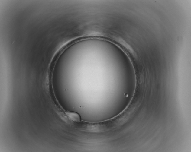 X0000111671364200907171605