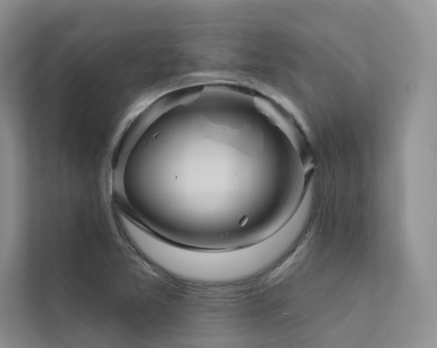 X0000111671365200907171605