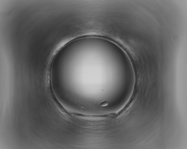 X0000111671367200907171605