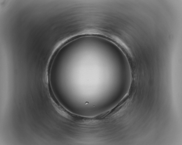 X0000111671372200907171605