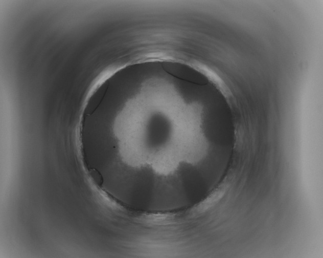 X0000111671373200907171605