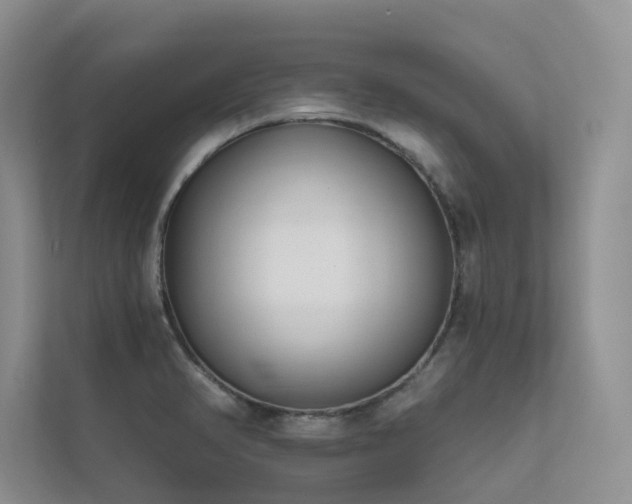 X0000111671374200907171605