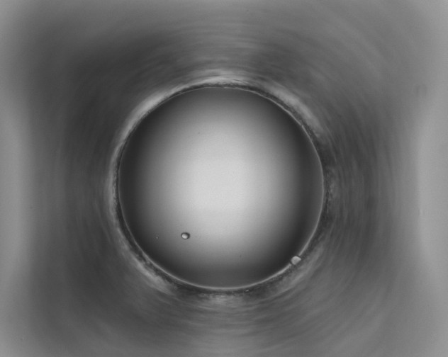 X0000111671375200907171605