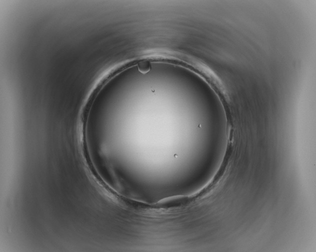 X0000111671376200907171605