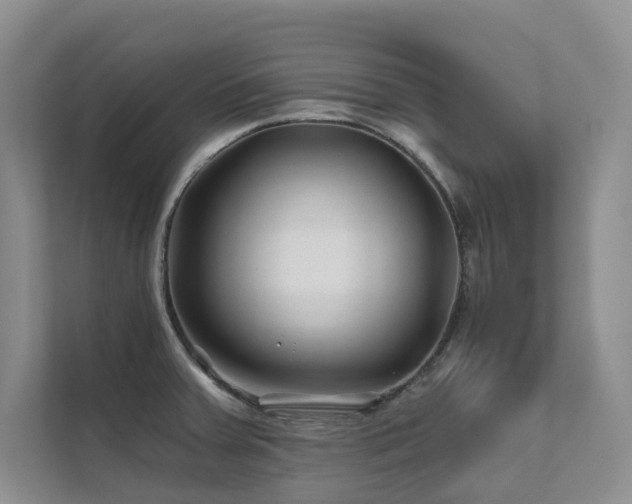 X0000111671379200907171605
