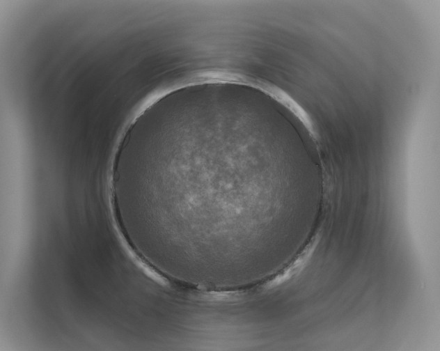 X0000111671381200907171605