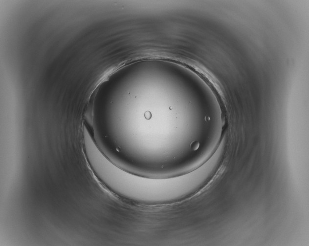 X0000111671385200907171605