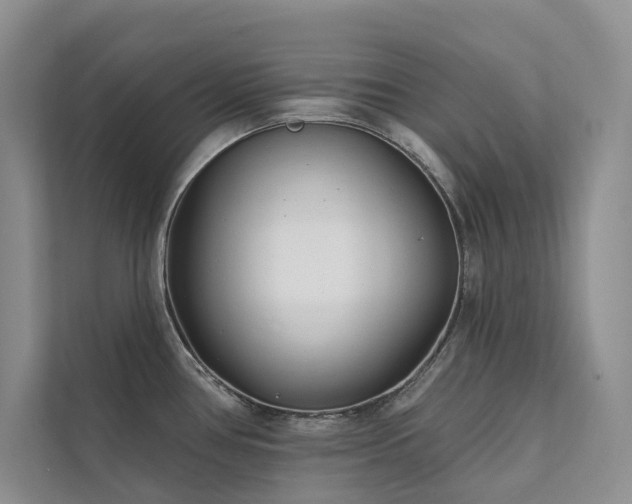 X0000111671386200907171605