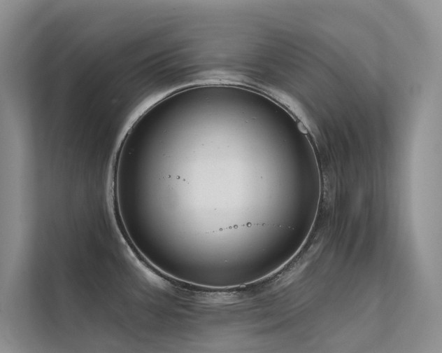 X0000111671387200907171605