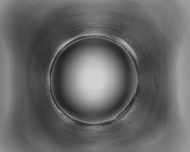 X0000111671388200907171605